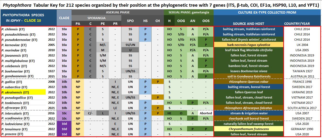    Phytophthora  spp. in subclade 10b:  Morphological Tabular key (PDF) and Tabular key legends (PDF) in IDphy2 KEY SECTION. Notice the data of   P. ukrainensis  Ex-type CBS 148851 . Gloria Abad, USDA Samp;T.
